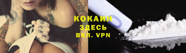 стафф Аркадак