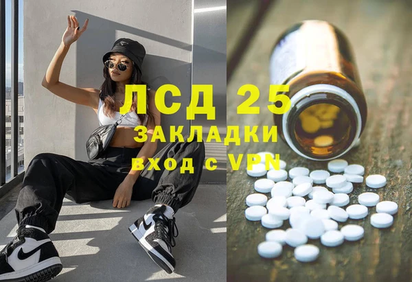 стафф Аркадак