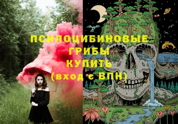 стафф Аркадак