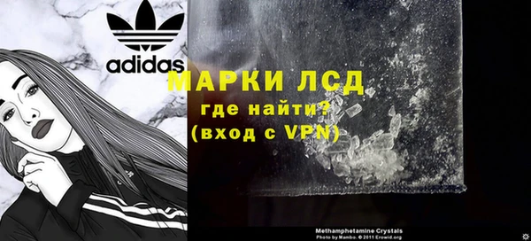 стафф Аркадак