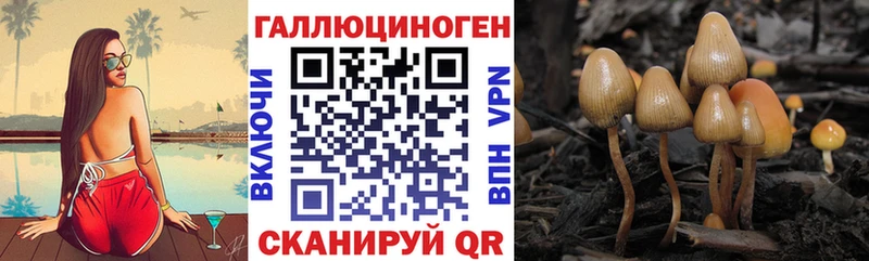 Псилоцибиновые грибы Magic Shrooms  Купить  Николаевск 